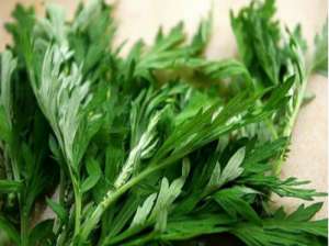 秋季应季蔬菜的养生秘法