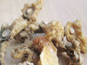 秋季健康养生注意多吃豆腐