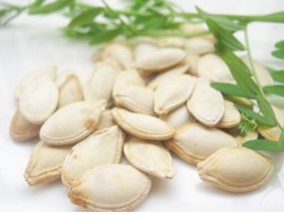 药材规范化生产的施肥技巧