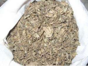 能老了不掉牙的秘诀